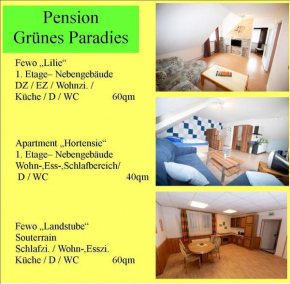 Ferienwohnung Hortensie Pension Grünes Paradies Grebenhain
